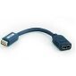 Mini-DVI-Stecker auf HDMI-Buchse-Adapterkabel