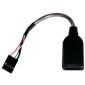 USB 2.0 AF auf 5-polig intern, 15 cm