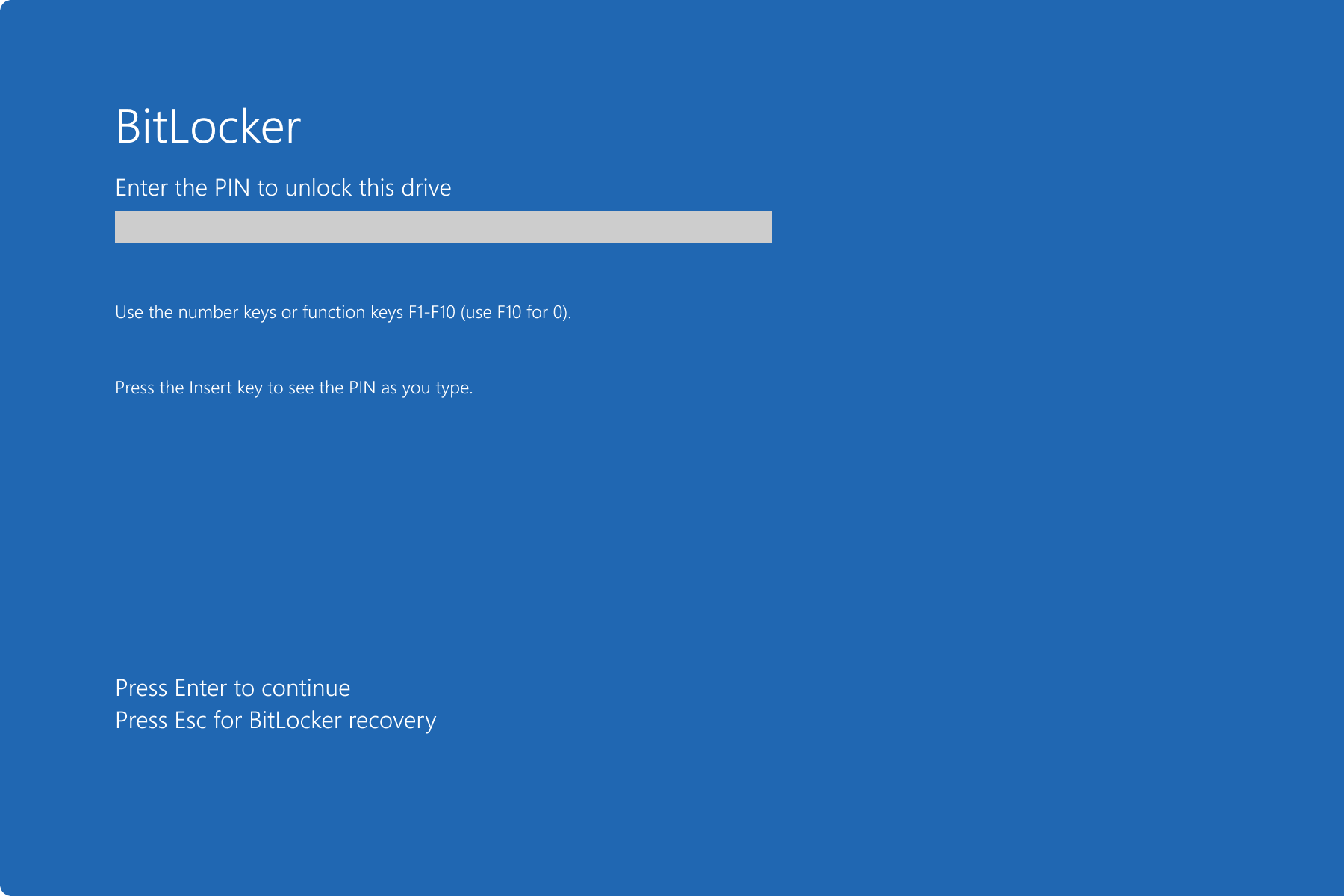 bitlocker umgehen